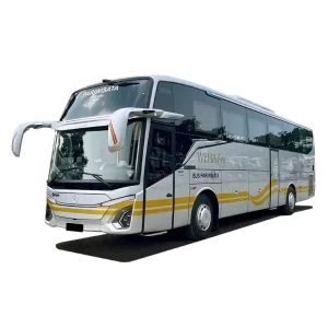 Big Bus 50 Seat